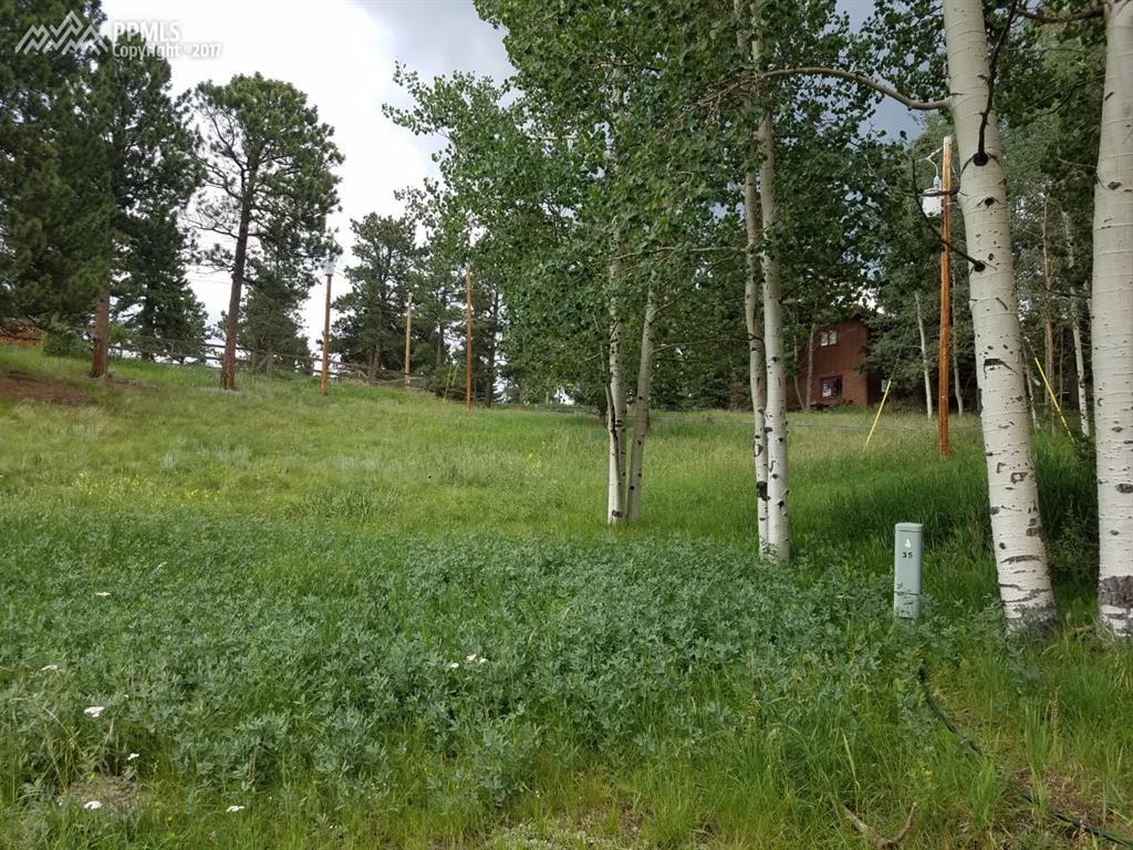 51 Valley Lane - Photo 1