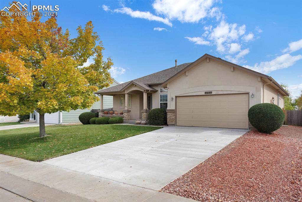 7235 Allens Park Drive - Photo 1