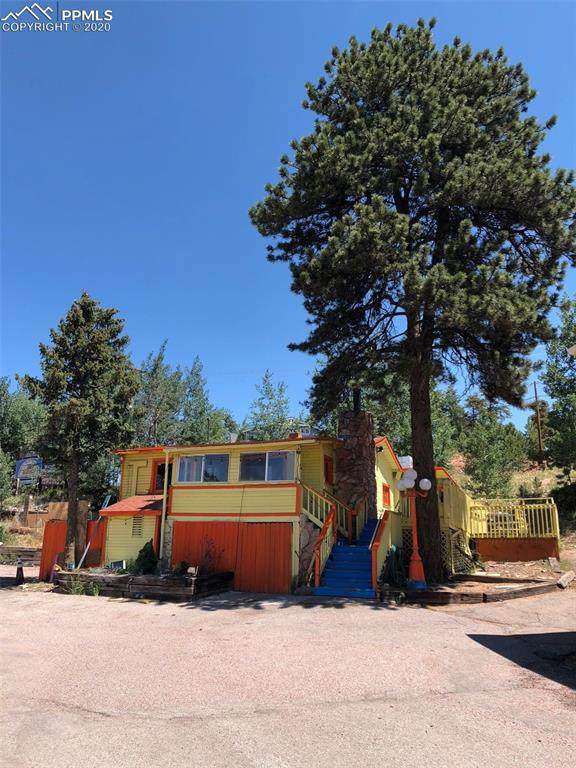730 Highway 24 Highway - Photo 1