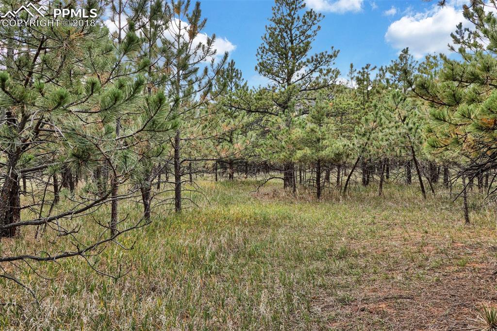 Lot 5 Stone View Road - Photo 1