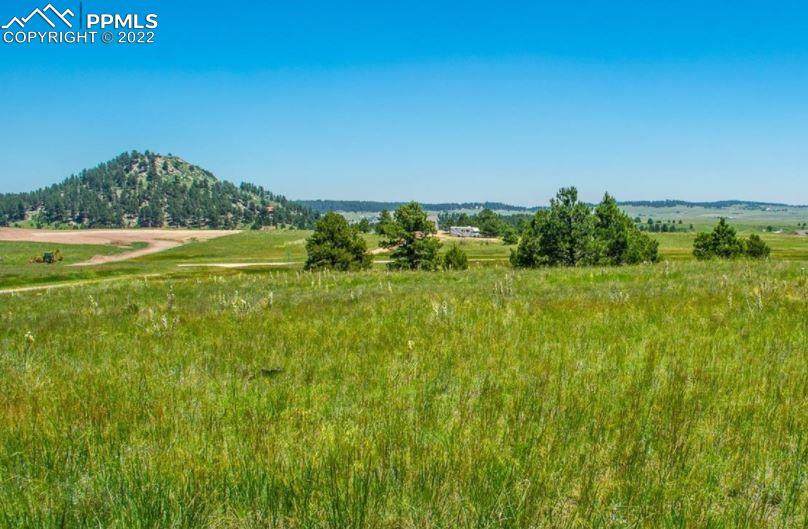 15540 Fulda Lane - Photo 1