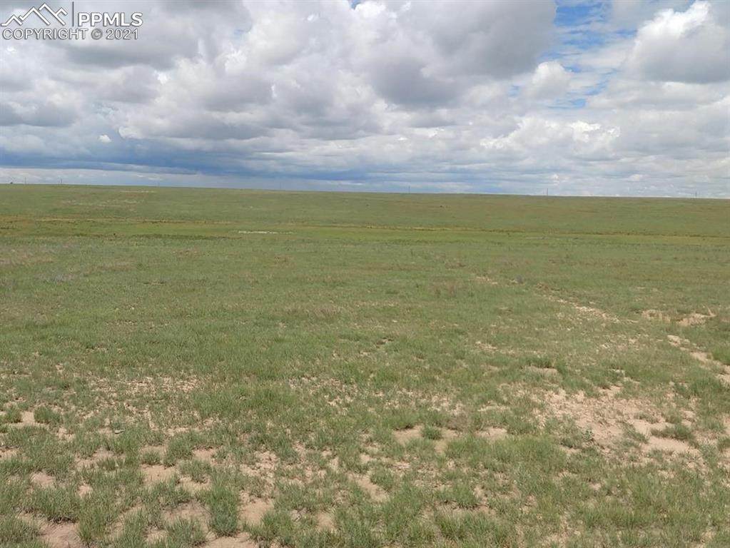 4165 Sengbeil Road - Photo 1