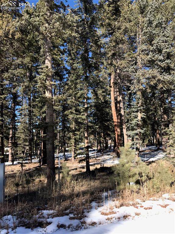 610 Chipmunk Drive - Photo 1