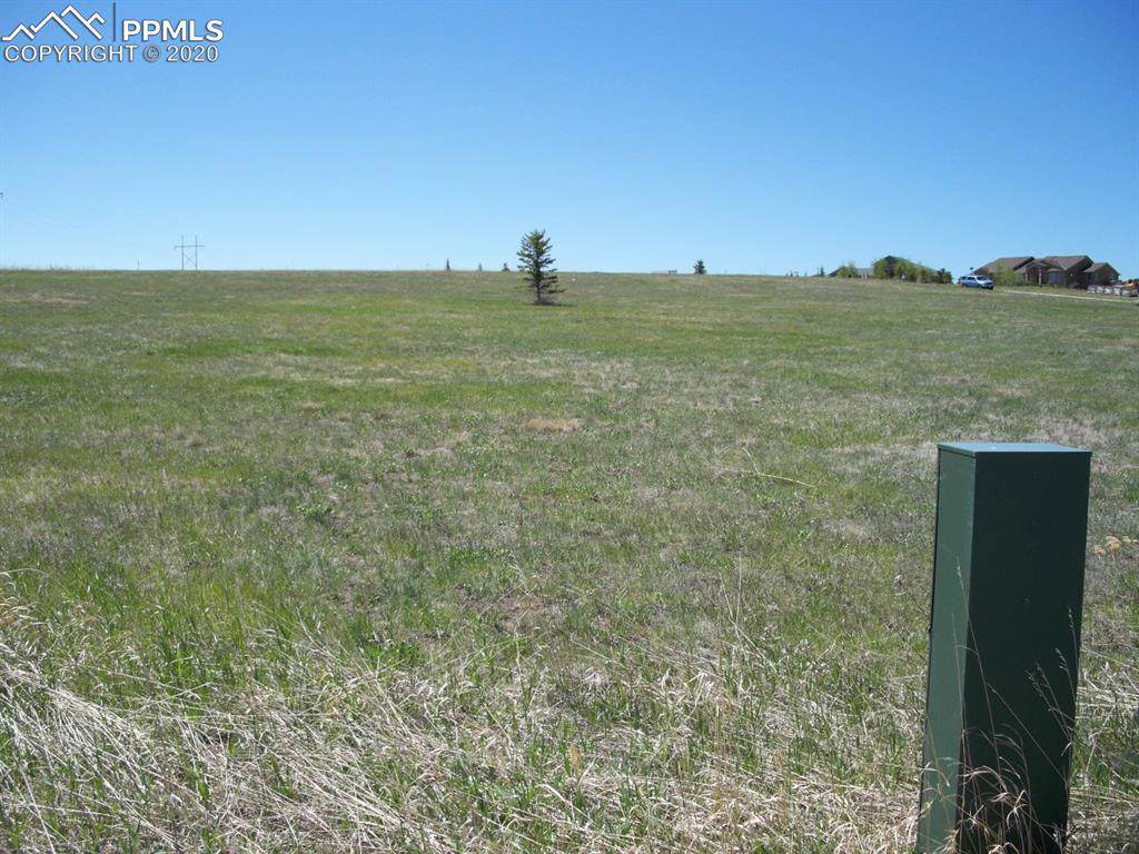 20383 Royal Troon Drive - Photo 1