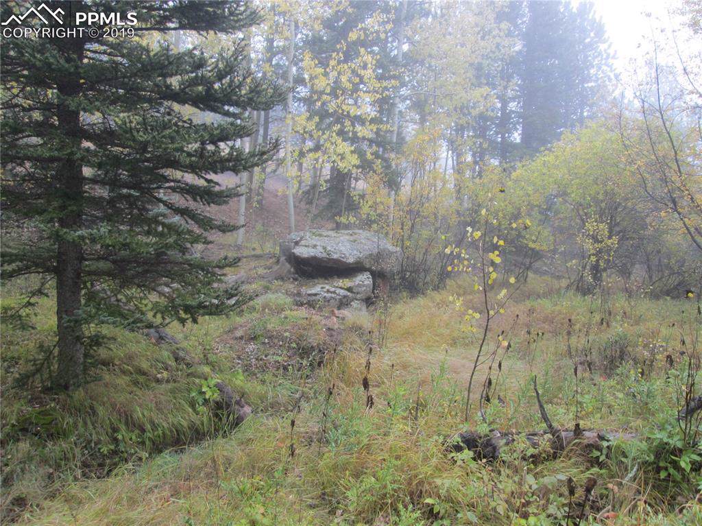 282 Eagle Mountain Road - Photo 1