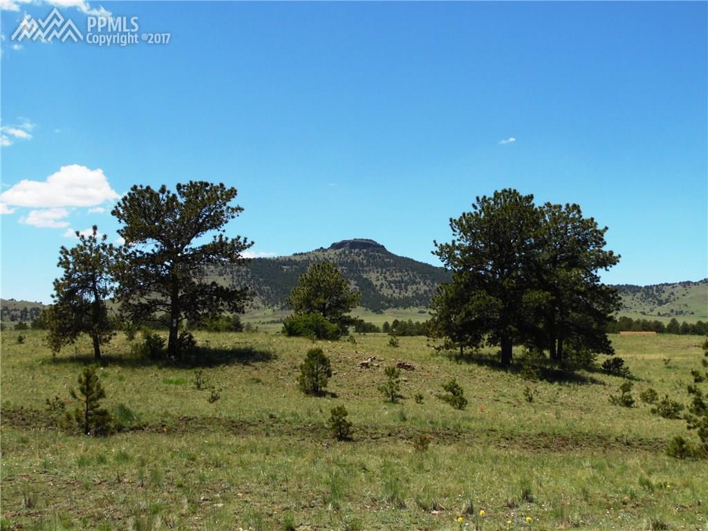 56 View Lane - Photo 1