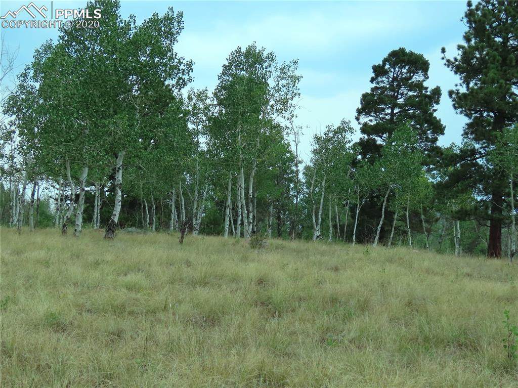 55 Summit Drive - Photo 1