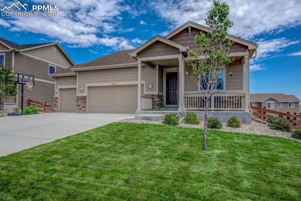 10847 Mt. Evans Drive - Photo 1