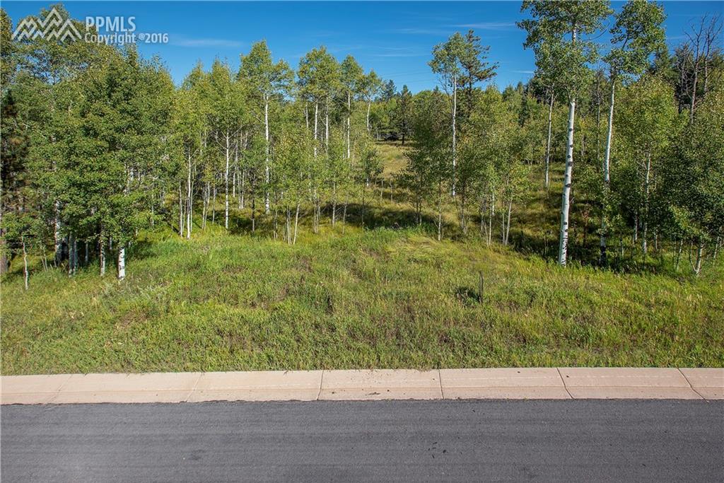 415 Oxford Lane - Photo 1