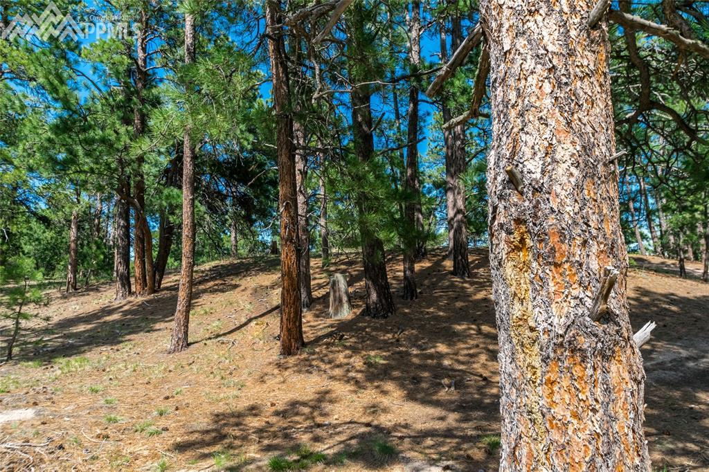 18845 Hilltop Pines Path - Photo 1