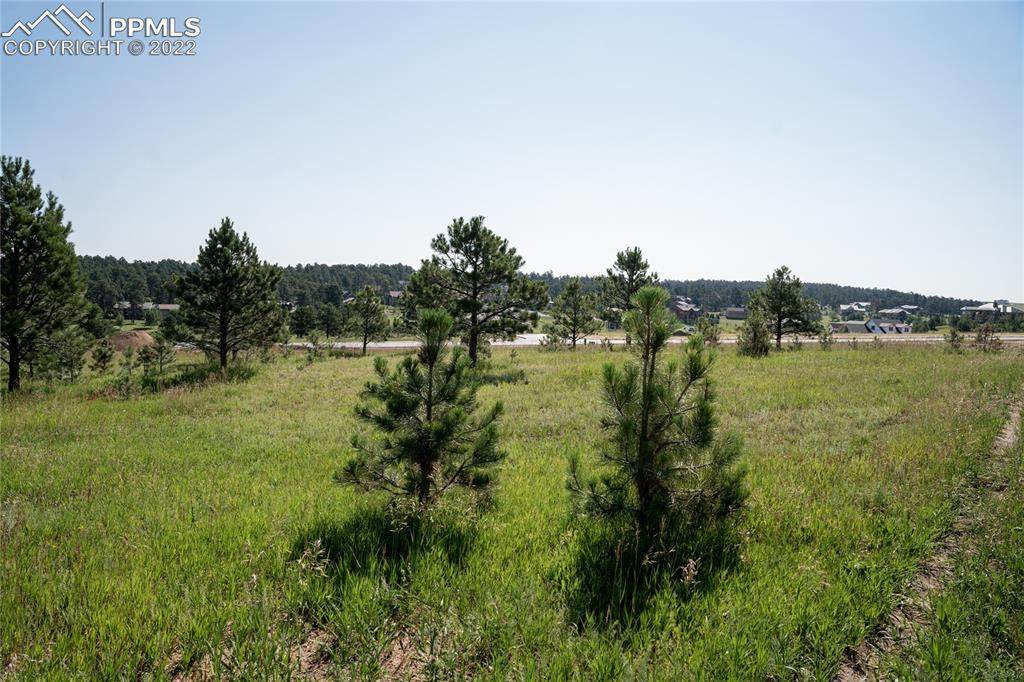 3826 Pinehurst Circle - Photo 1