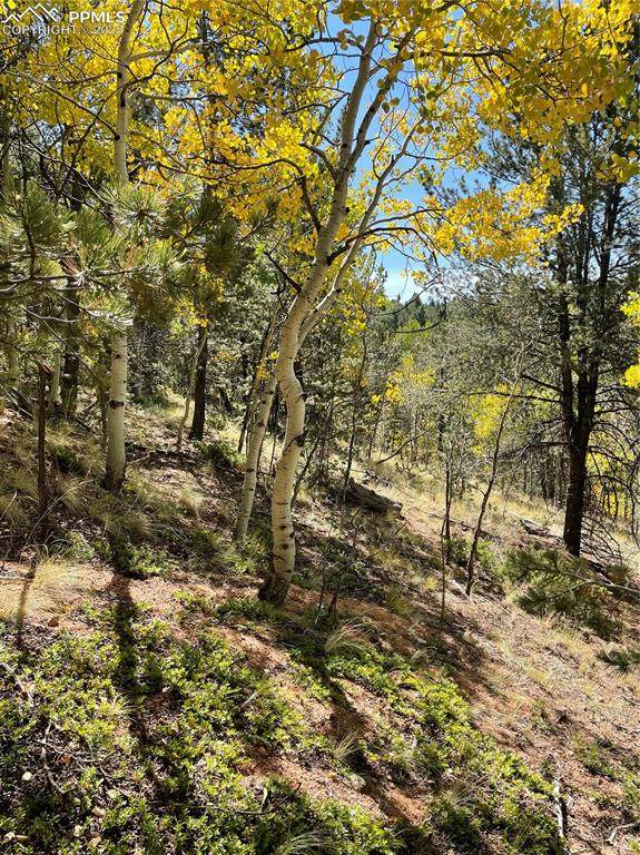 773 Calcite Drive - Photo 1