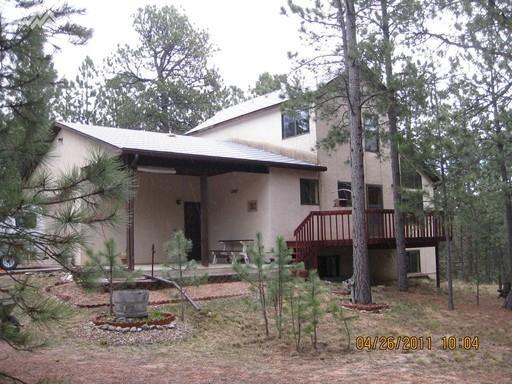 9965 Chipmunk Lane - Photo 1