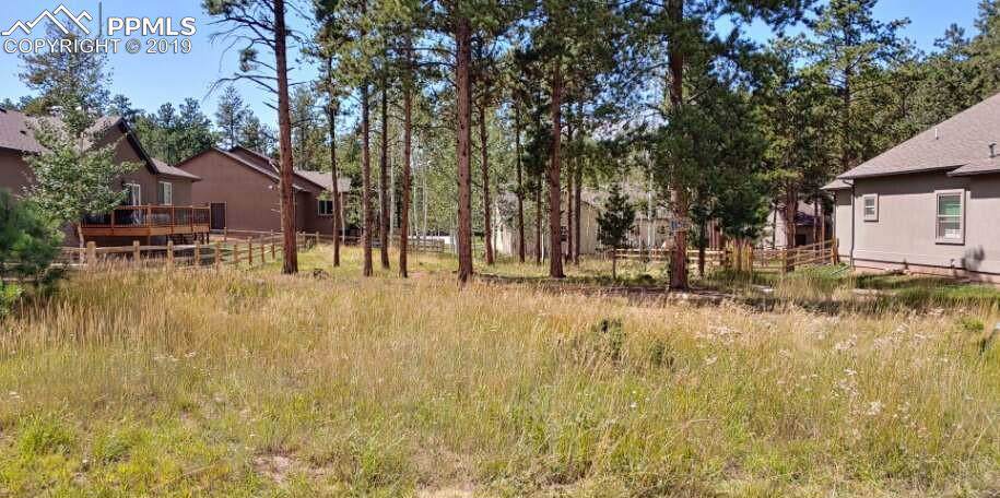 1156 Ptarmigan Drive - Photo 1