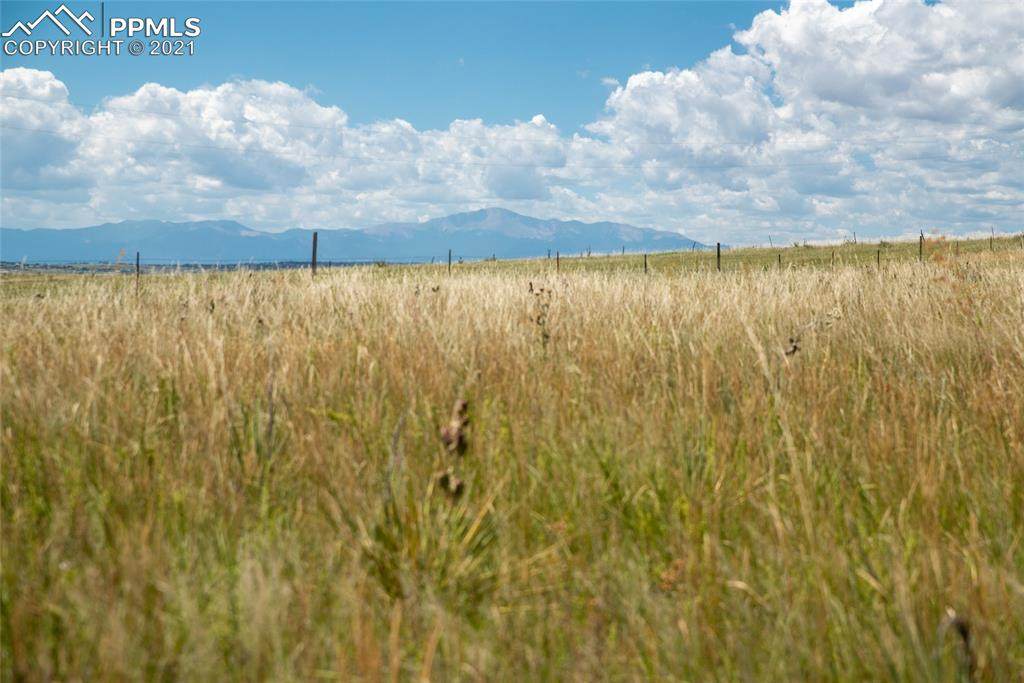 16575 Sweet Road - Photo 1
