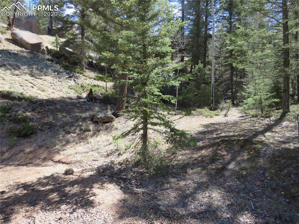 52 Warrior Circle - Photo 1