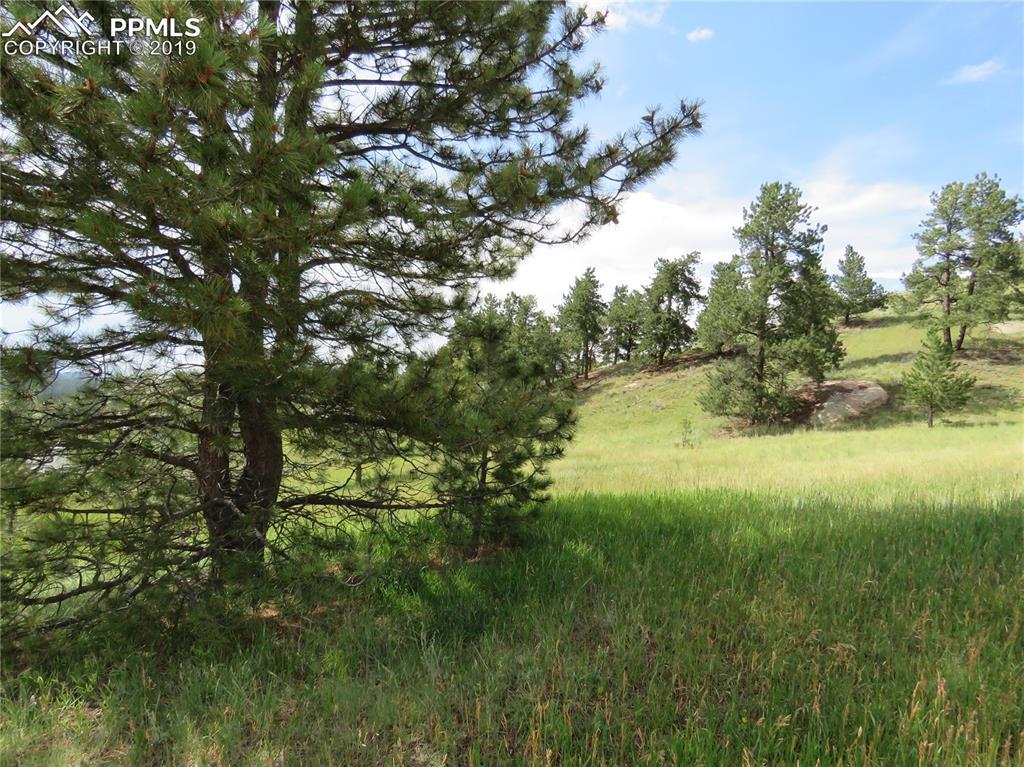 35 Elkhorn Circle - Photo 1