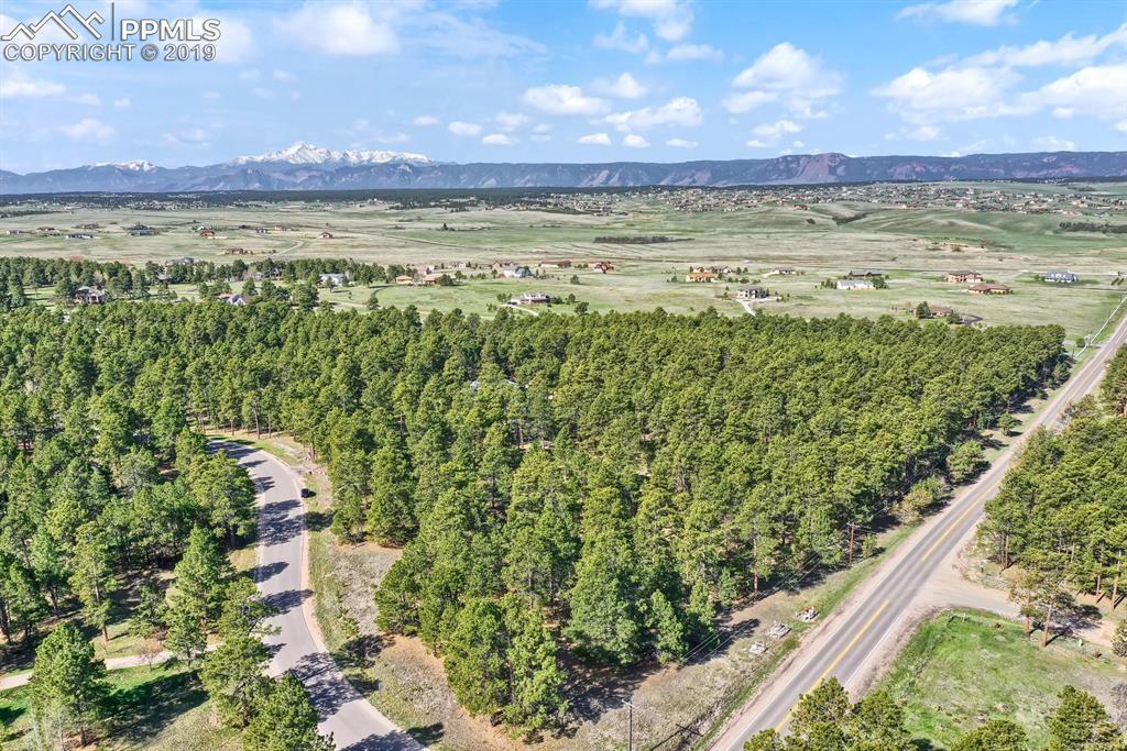 3825 Wavy Oak Drive - Photo 1
