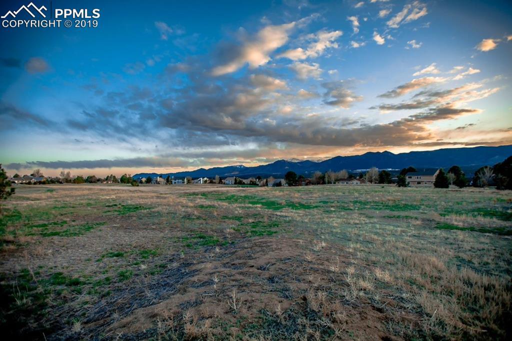 14173 Stone Eagle Place - Photo 1