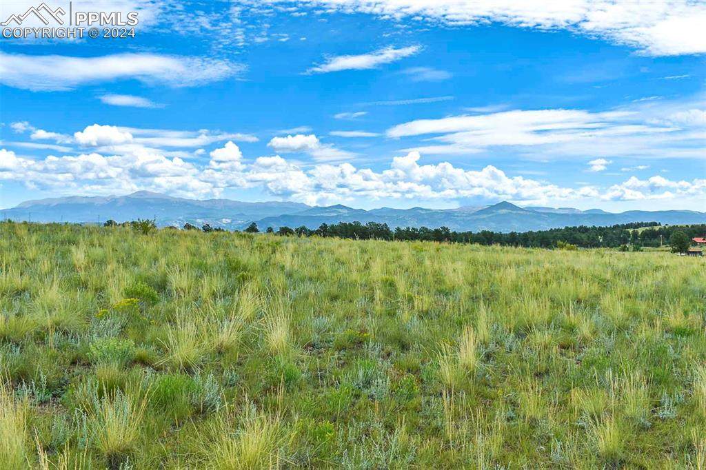 4782 County Road 71 - Photo 1