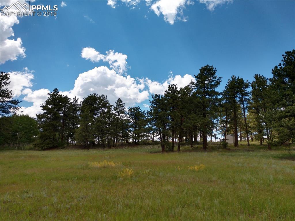 Powderhorn Lane - Photo 1