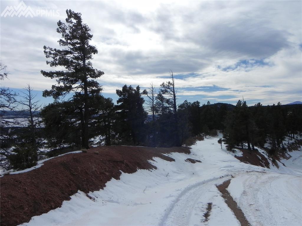13318 Deer Ridge Way - Photo 1