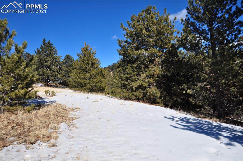56 Red Cloud Circle - Photo 1