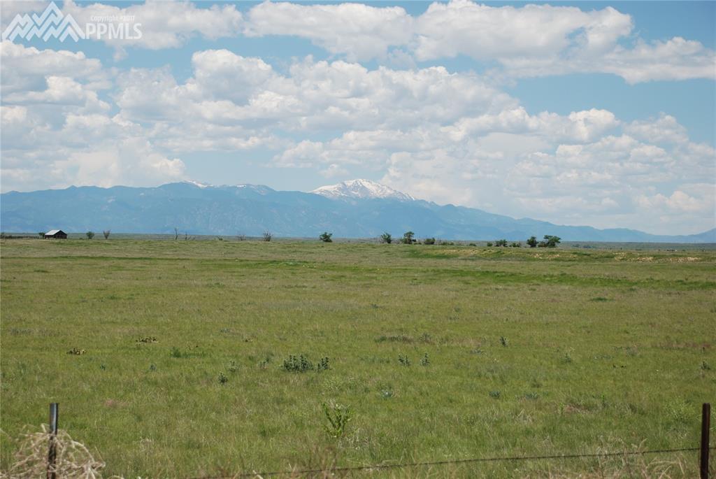 0 Peyton Highway - Photo 1