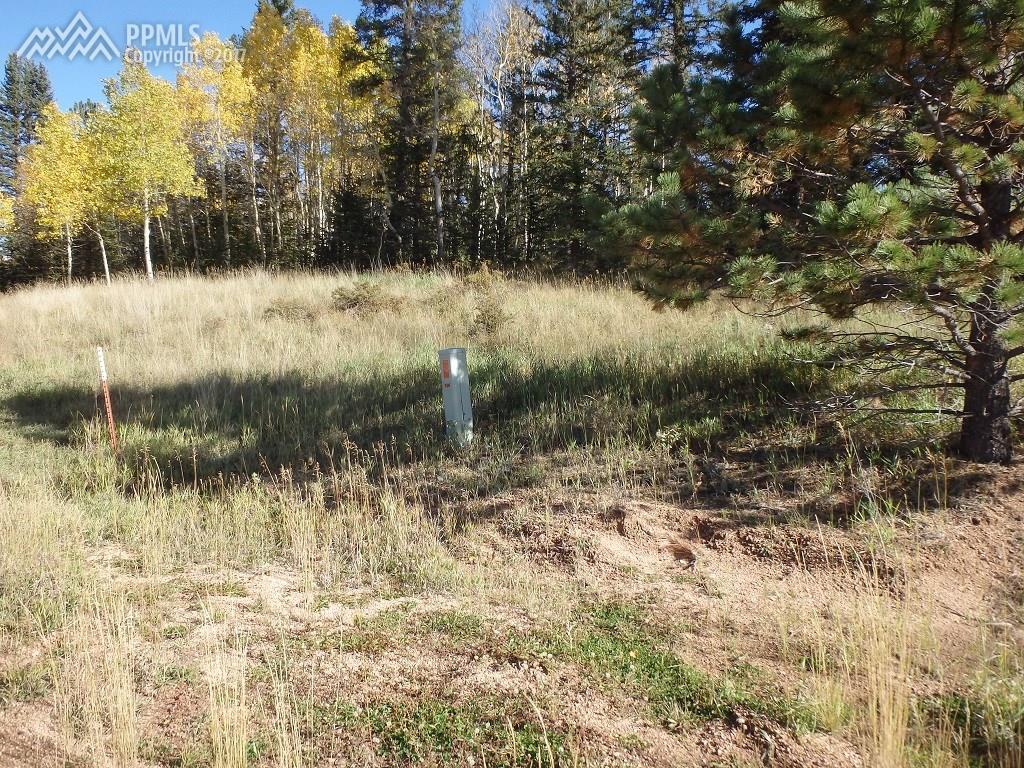 126 Bear Claw Trail - Photo 1