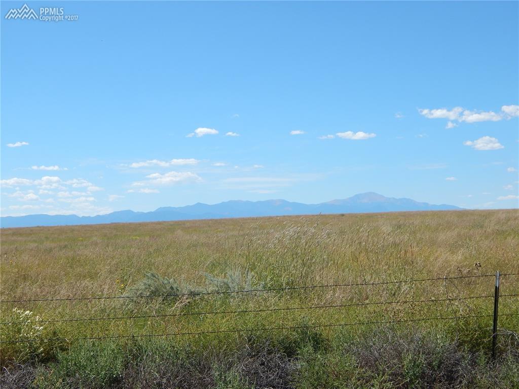 22005 Drennan Road - Photo 1
