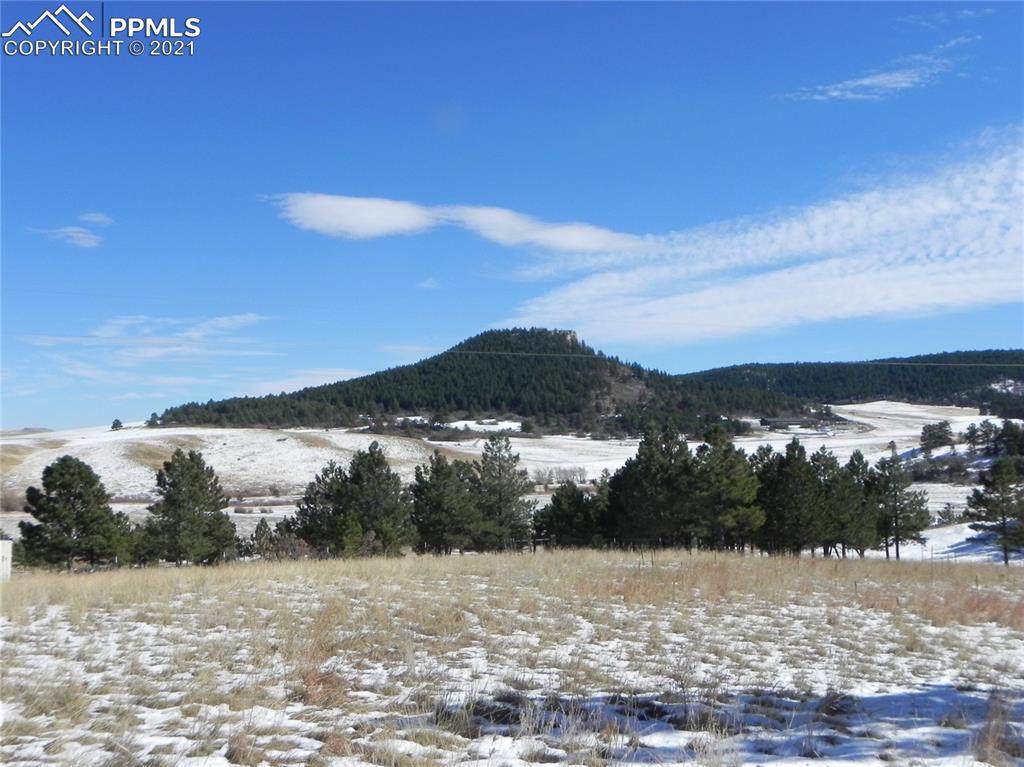 12778 Greenland Acres Road - Photo 1