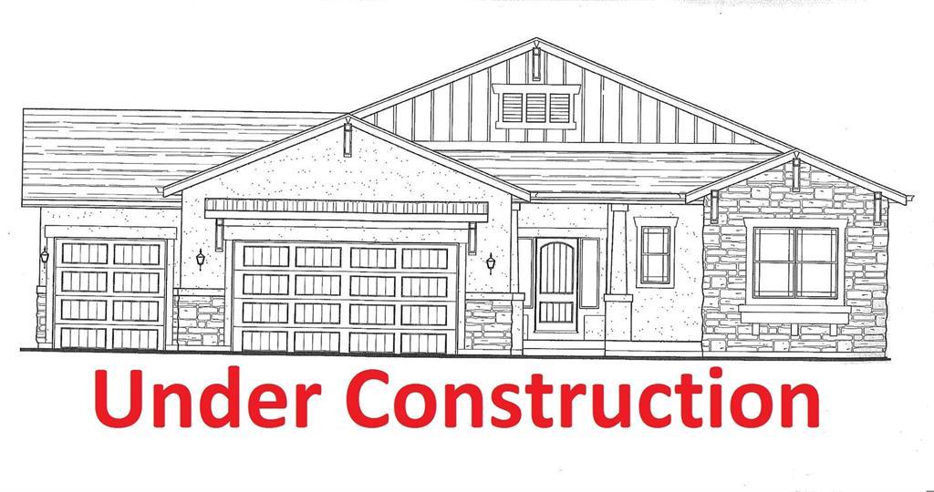 10387 Rifle Falls Way - Photo 1