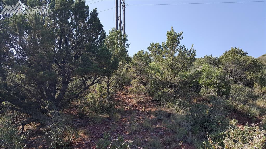 1 TBD Puma Path - Photo 1