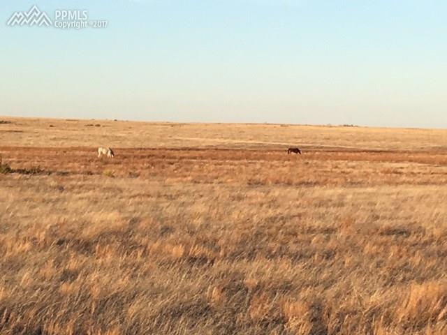 35325 County 34 Road - Photo 1