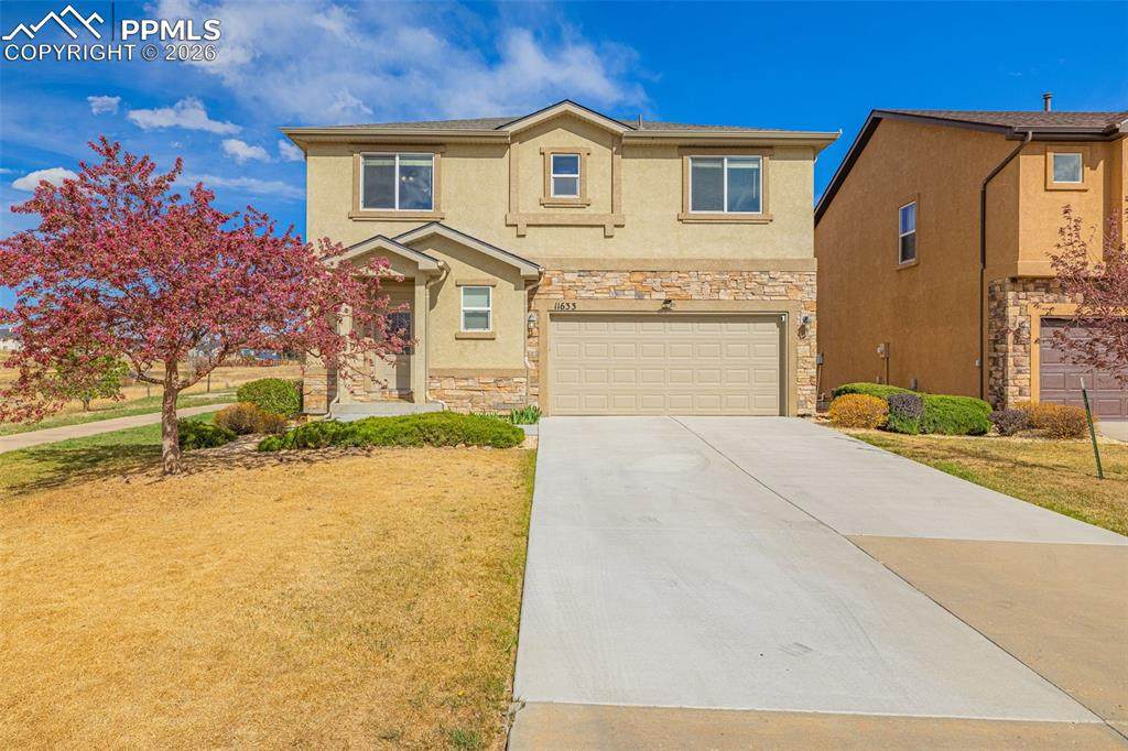 11633 Black Maple Lane - Photo 1