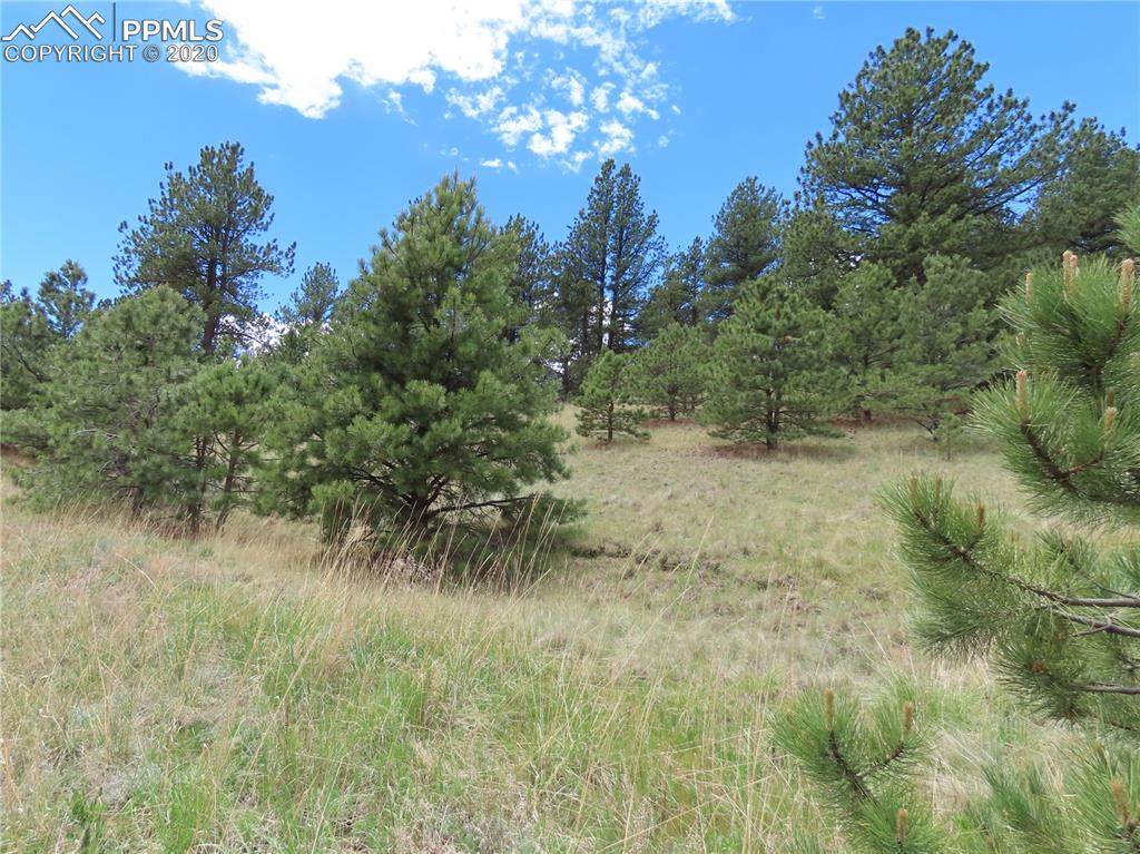 TBD Conestoga Creek Road - Photo 1