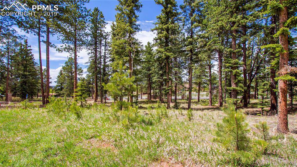 1265 Cottontail Trail - Photo 1