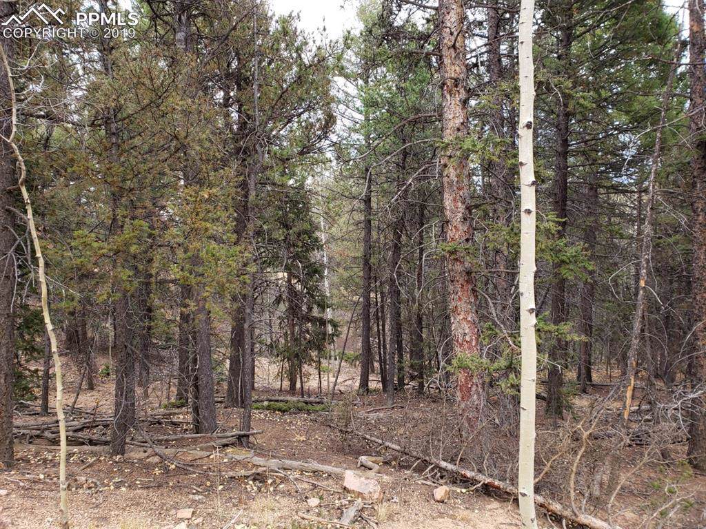 238 Skyline Drive - Photo 1