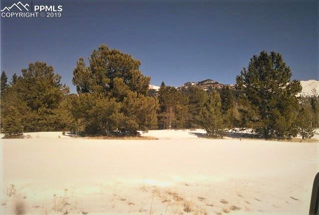 000 County 61 Road - Photo 1