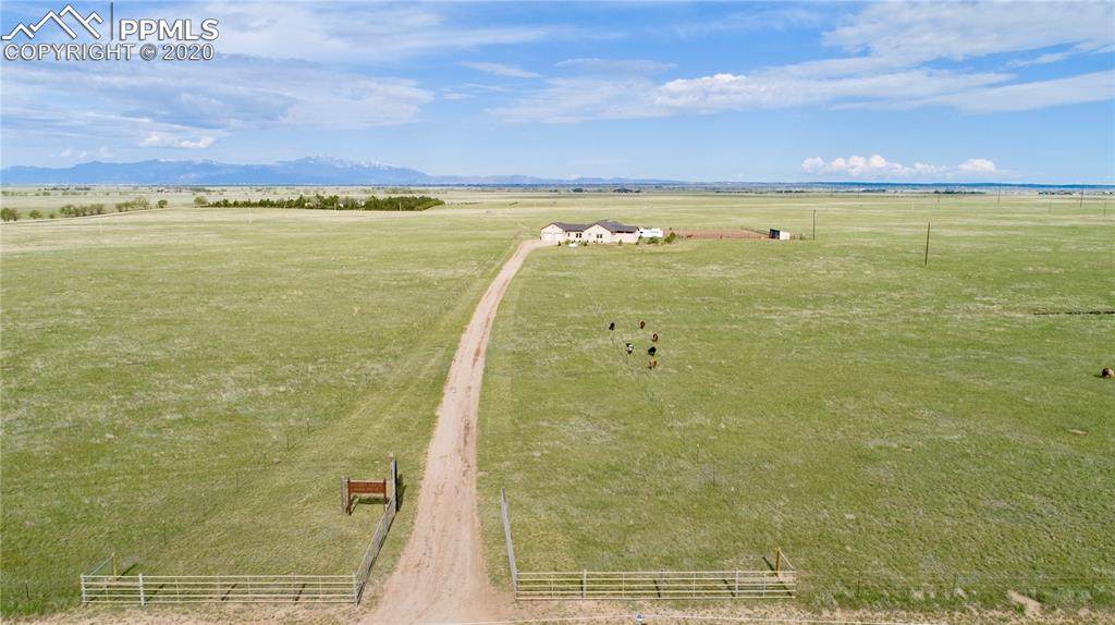 9690 Log Road - Photo 1