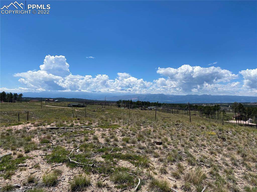13165 Herring Road - Photo 1
