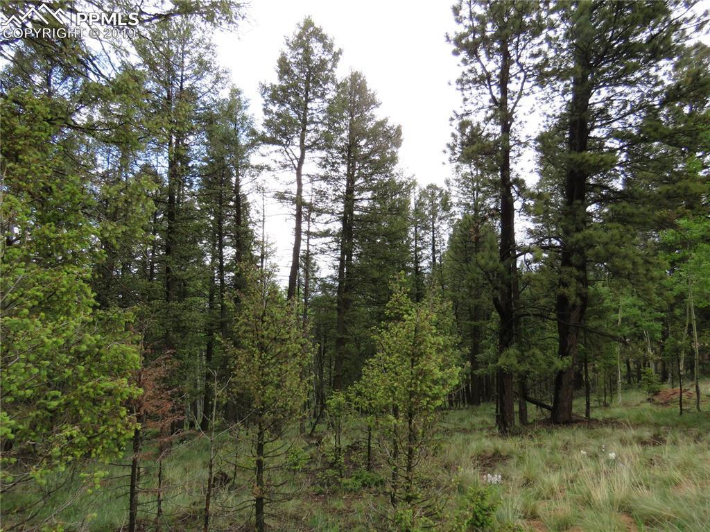 1751 Mountain Estates Road - Photo 1
