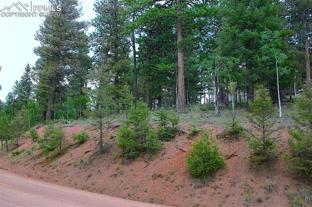 2058 Mountain Estates Road - Photo 1