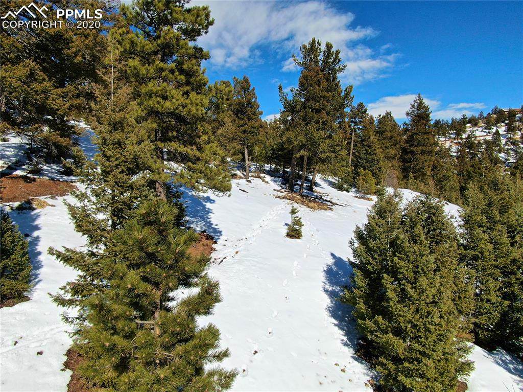164 Palmer Trail - Photo 1