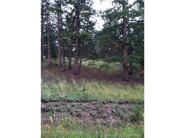 62 Obsidian Drive - Photo 1
