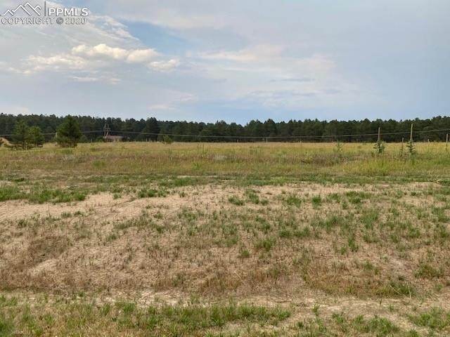 17161 Jackson Ranch Court - Photo 1