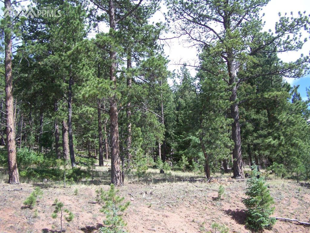 2403 Rampart Range Road - Photo 1