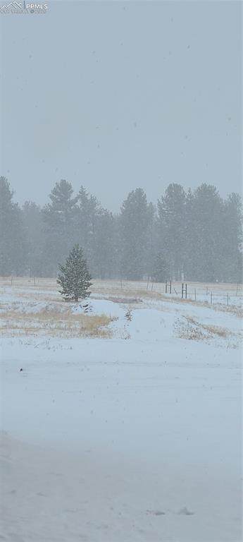 615 Due South Road - Photo 1