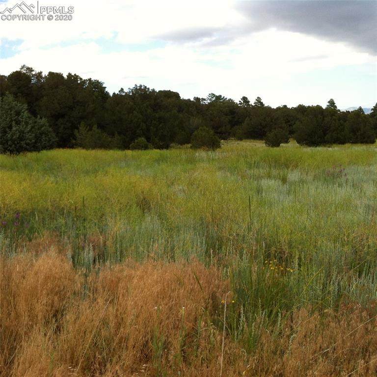 1763 6th Trail - Photo 1