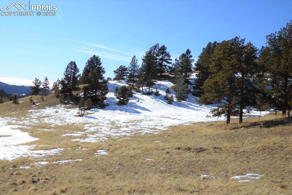 1306 County Road 122 - Photo 1